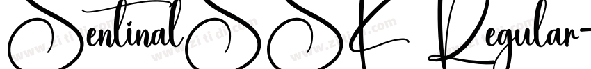 SentinalSSK Regular字体转换